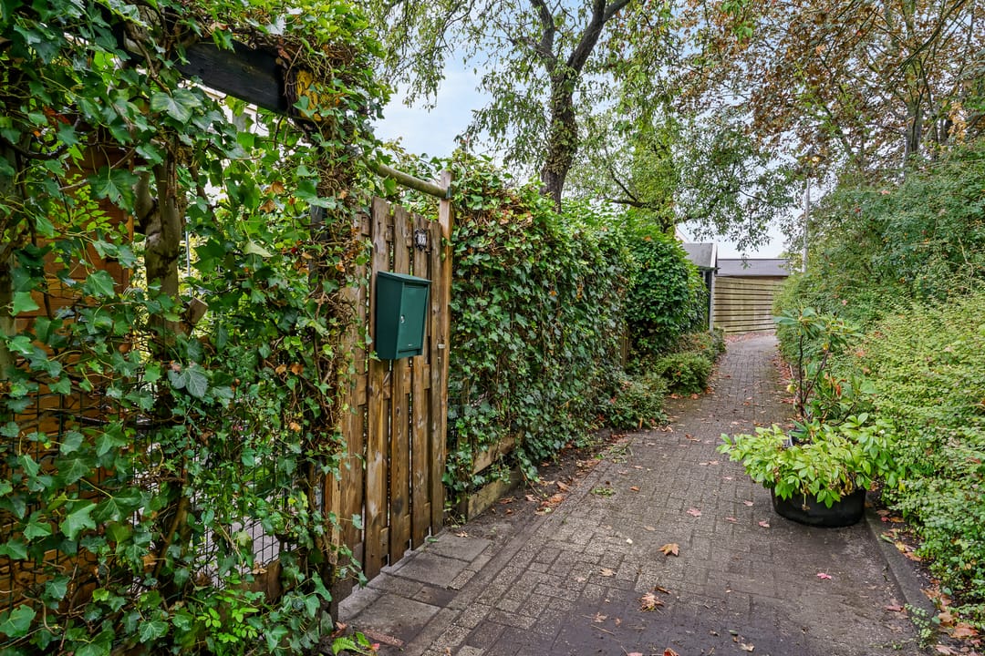 Photo 26 of Muur 107