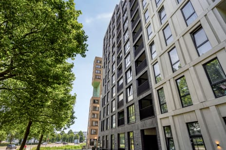 Dudokstraat thumbnail