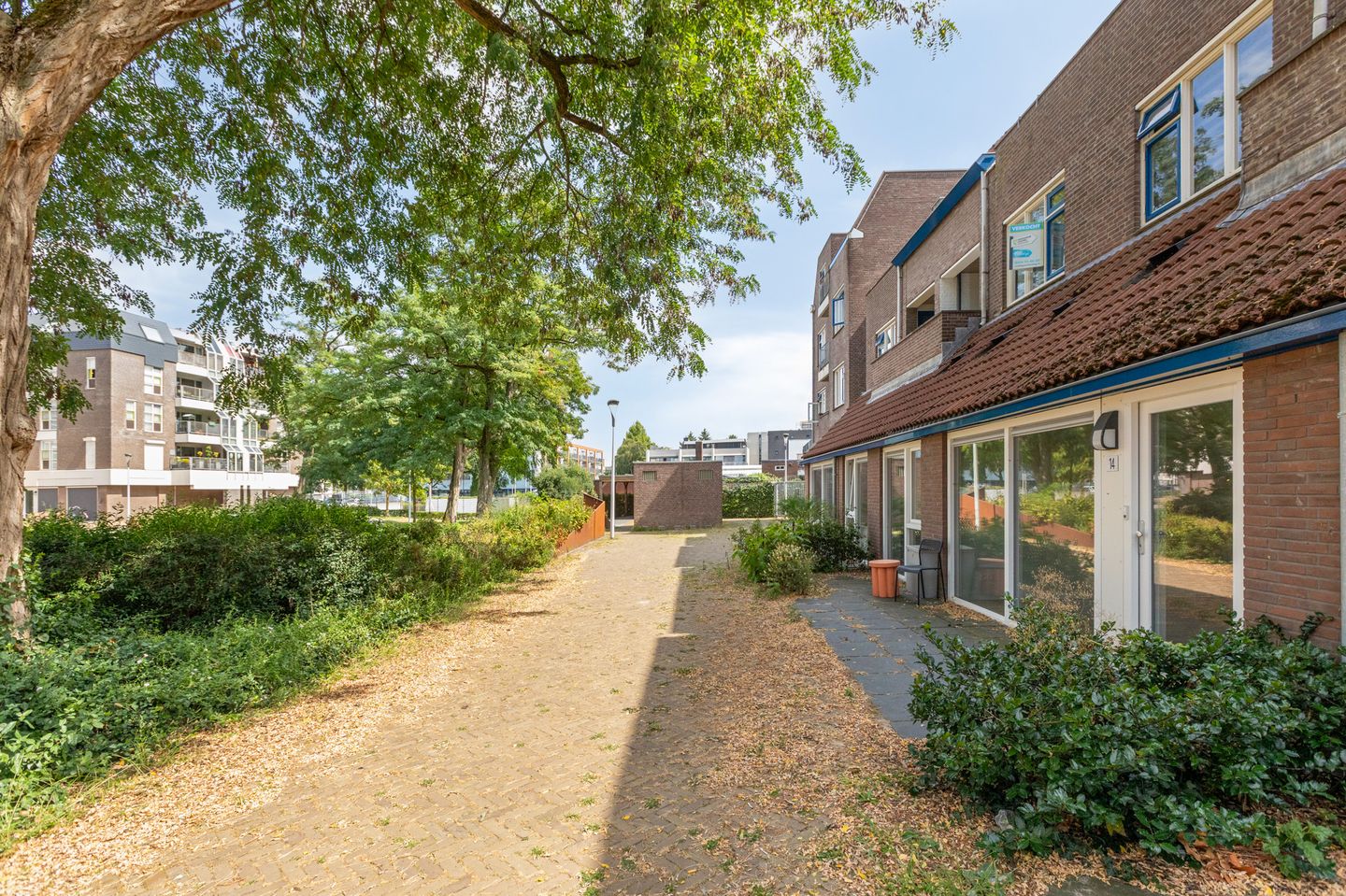 Foto 10 van de Veentjes 14