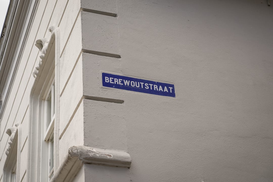 Photo 31 of Berewoutstraat 4