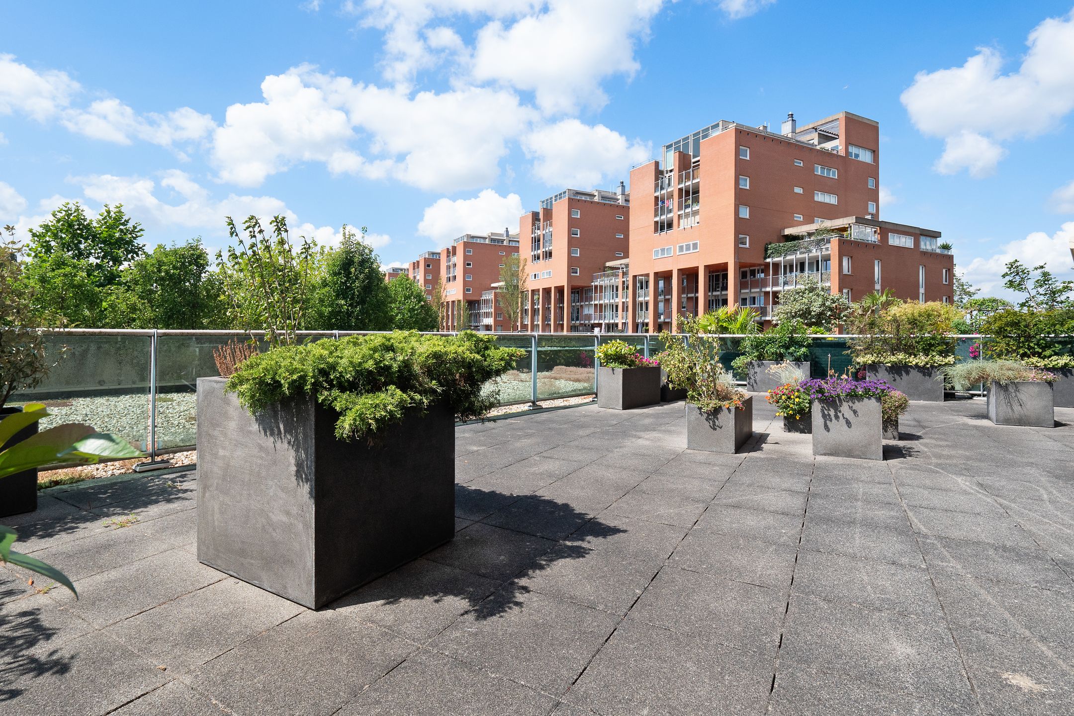 Photo 9 of Schout van Hanswijkplein 112