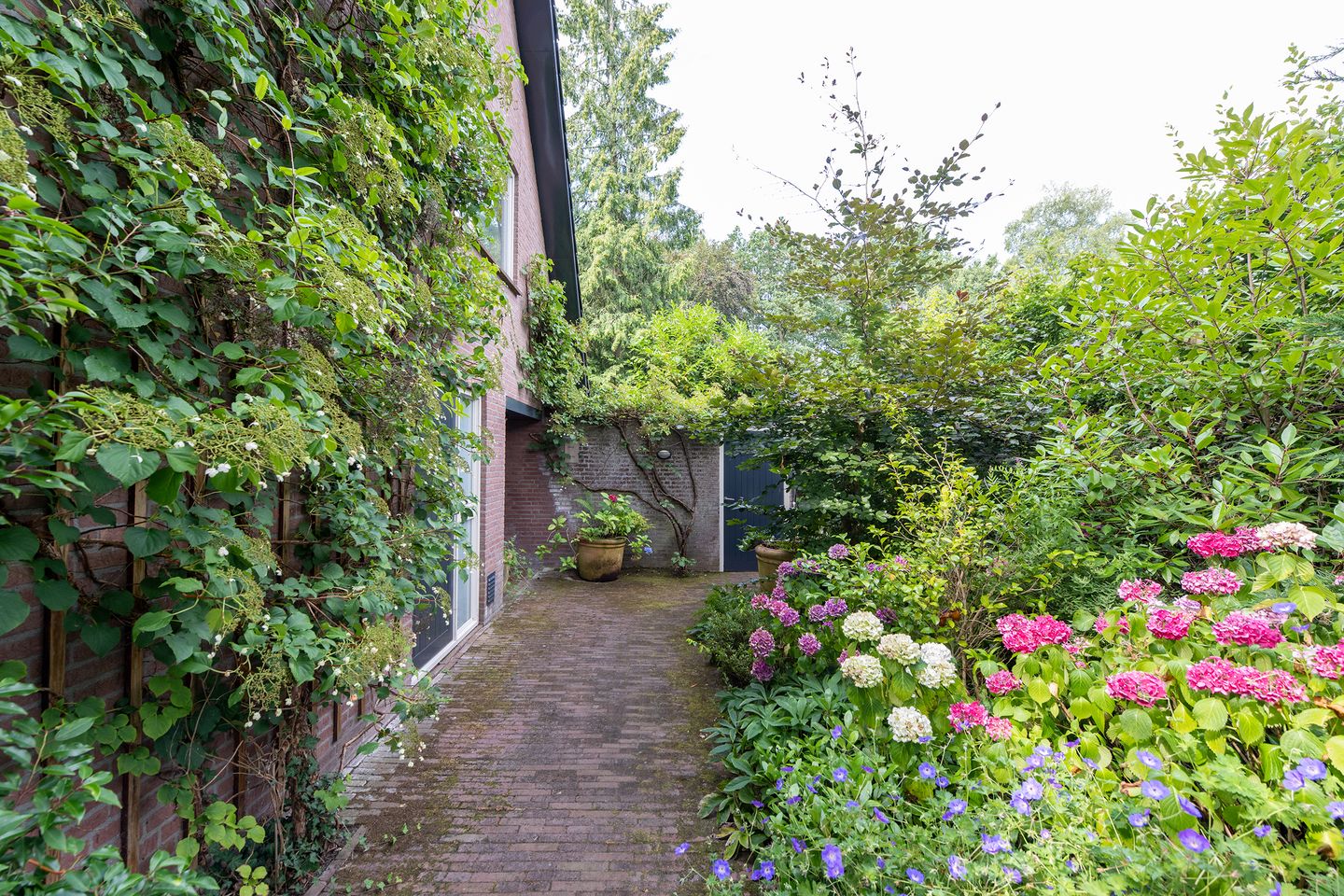 Photo 29 of Hoevebrink 1