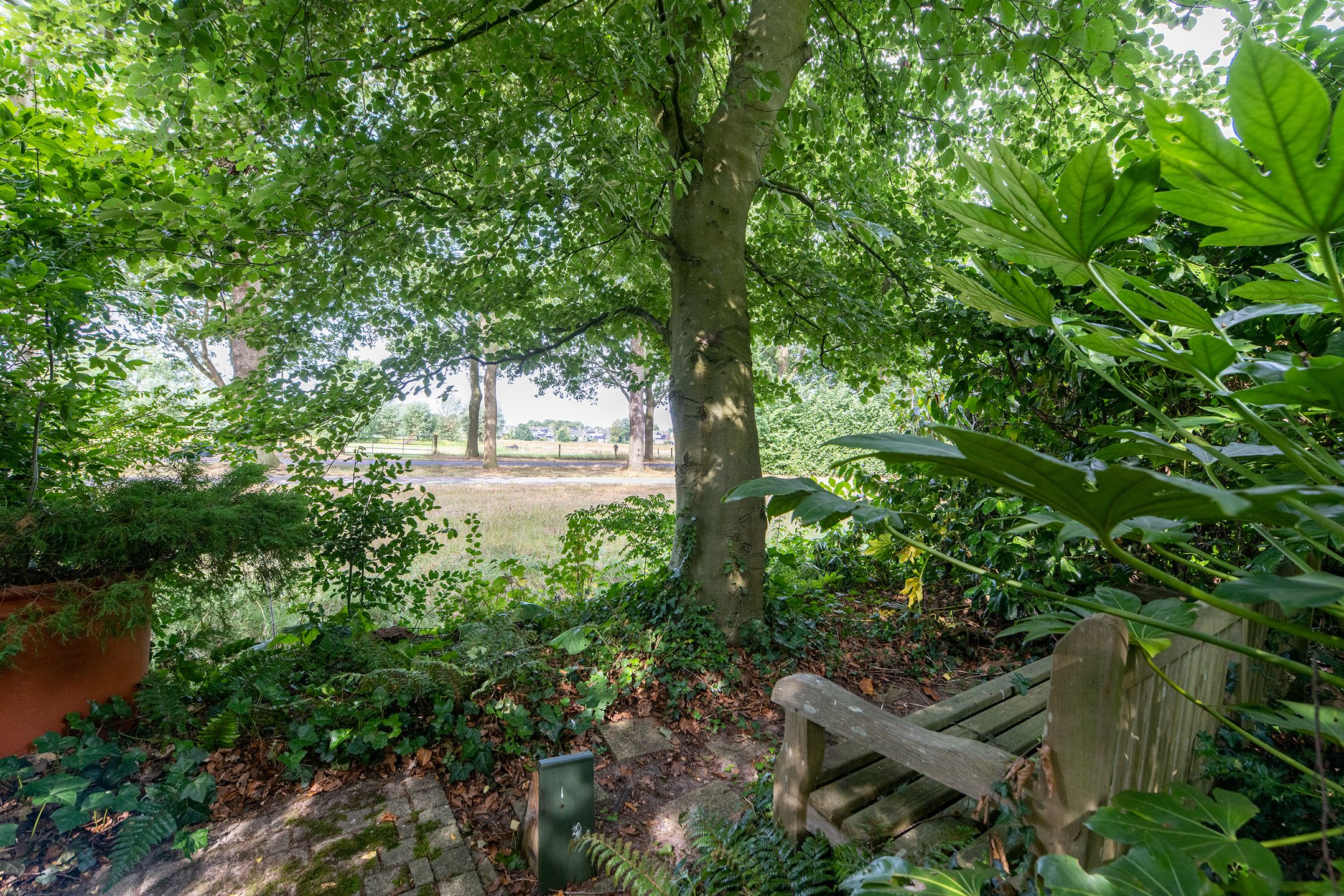 Photo 33 of Hoevebrink 1