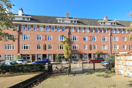 Paramariboplein thumbnail
