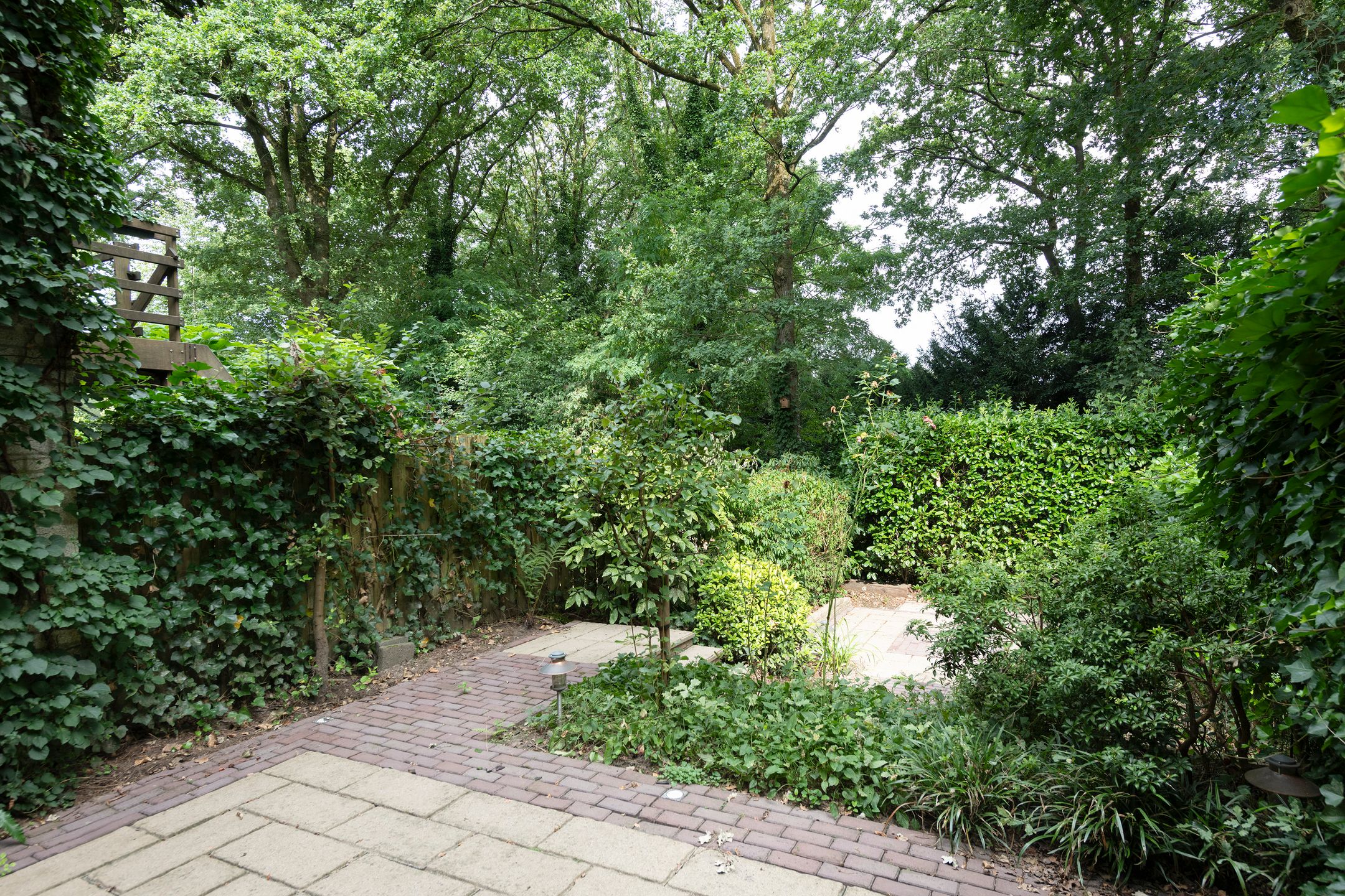 Photo 60 of Bachlaan 150