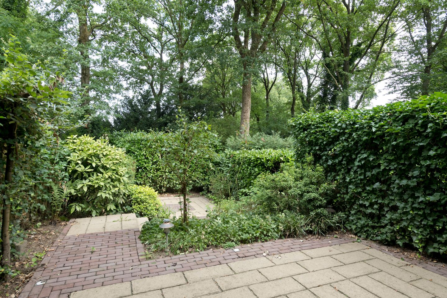 Photo 59 of Bachlaan 150
