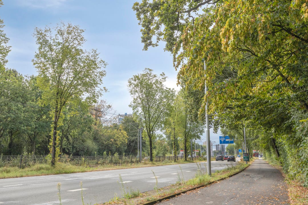 Photo 26 of Hoeksewaard 27