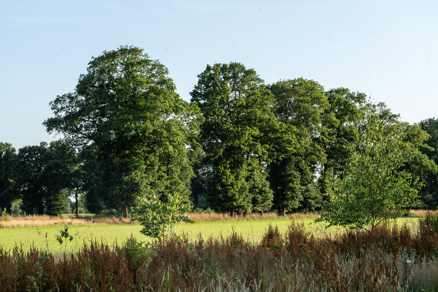 Photo 20 of Hondemotsweg, Wonen in het Veld (Bouwnr. Kavel C)