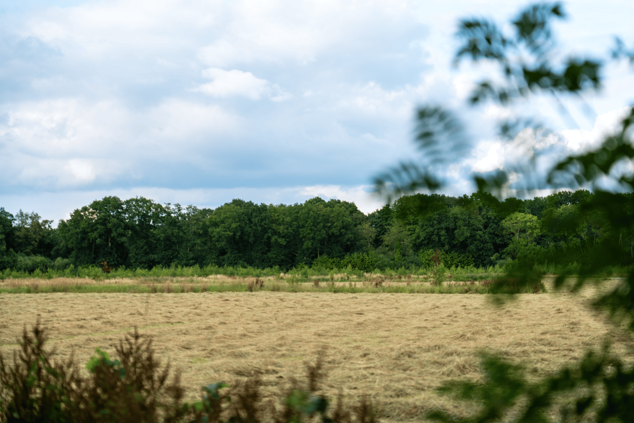 Photo 18 of Hondemotsweg, Wonen in het Veld (Bouwnr. Kavel C)