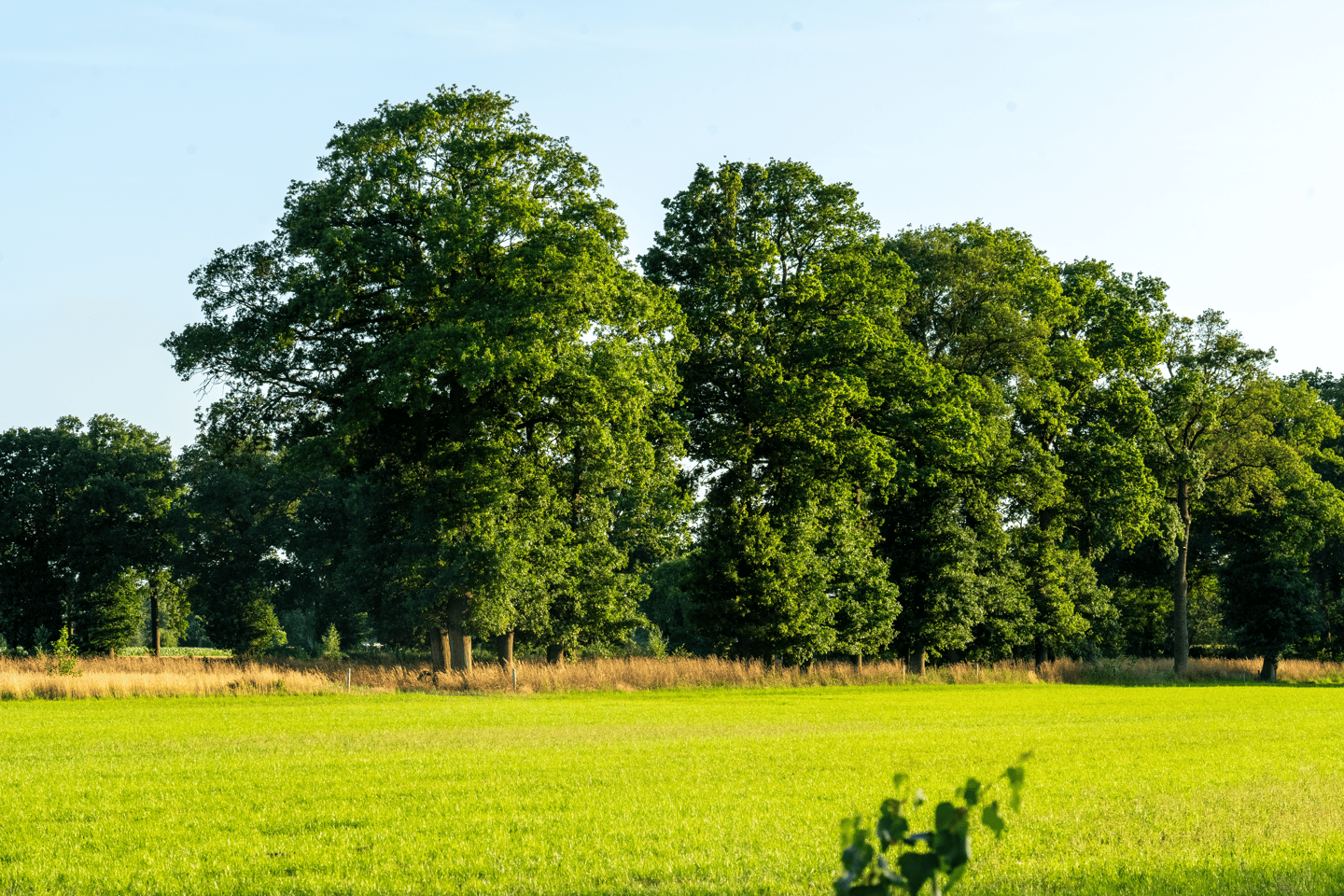 Photo 19 of Hondemotsweg, Wonen in het Veld (Bouwnr. Kavel C)