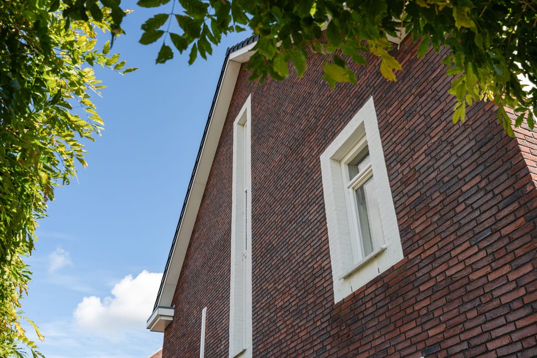 Foto 7 van Wilgenroos 9