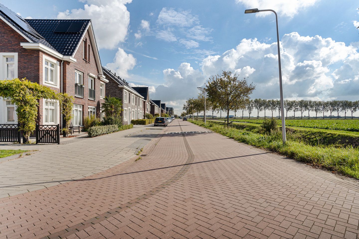 Foto 5 van Wilgenroos 9