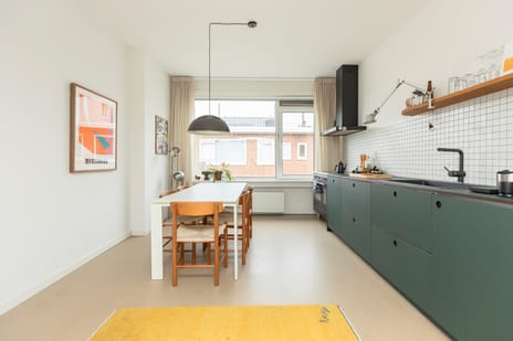 Van Houtenstraat thumbnail