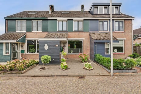 Dotterbloemstraat thumbnail