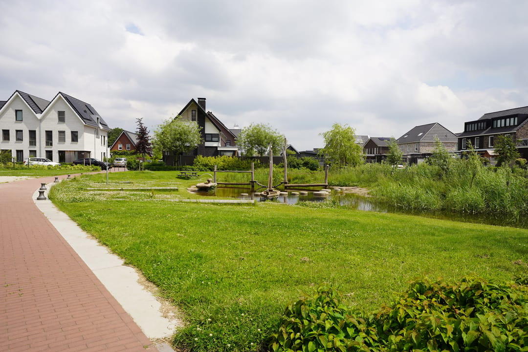 Foto 43 van Aalscholver 10