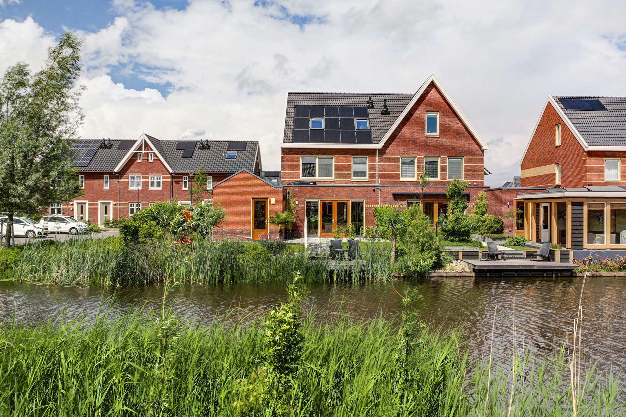 Aalscholver 10 