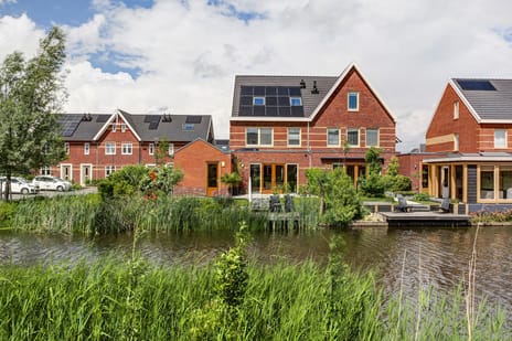 Aalscholver thumbnail