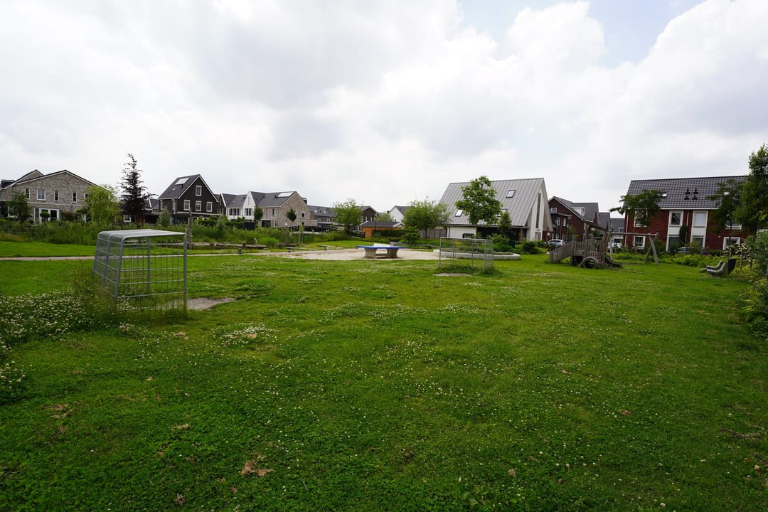 Foto 41 van Aalscholver 10