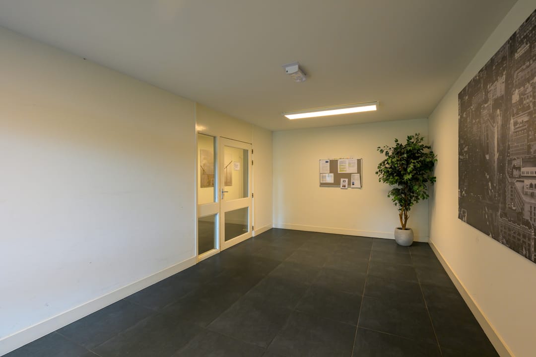 Foto 7 van Witte de Withlaan 28