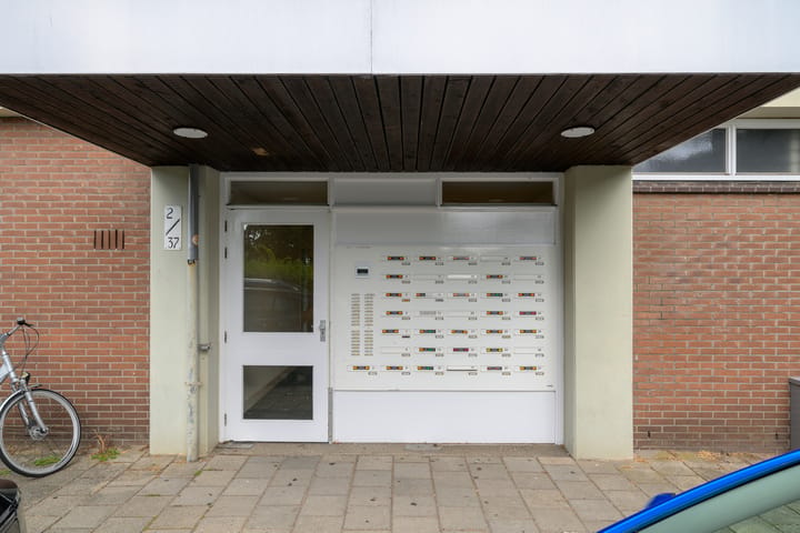 Foto 5 van Witte de Withlaan 28