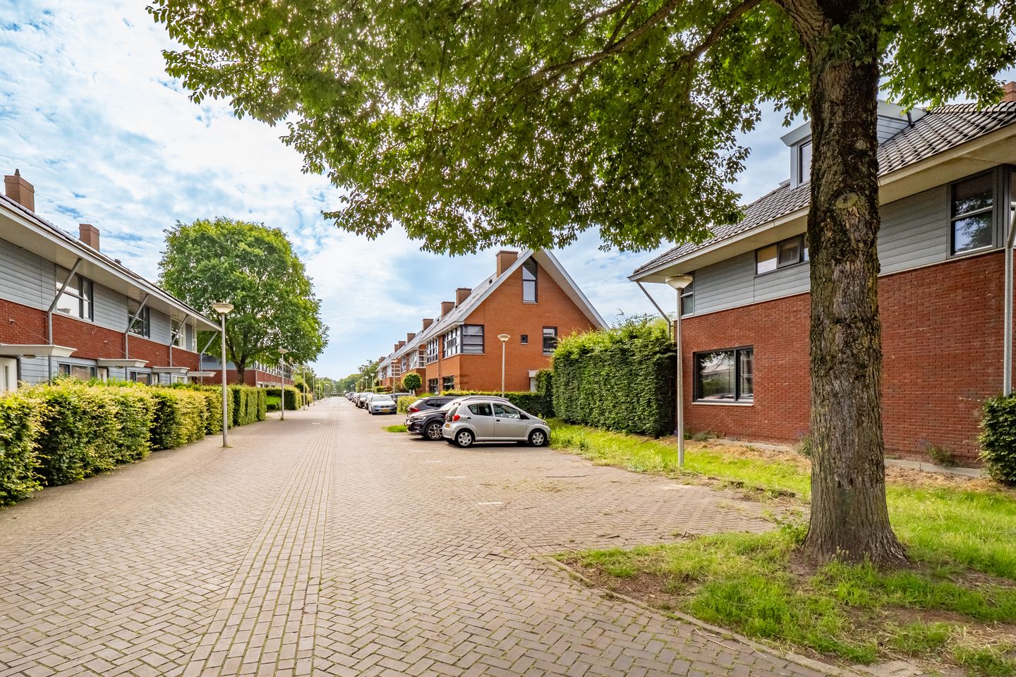 Foto 50 van Kokardebloemlaan 7