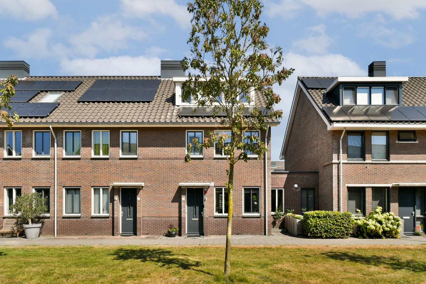 Foto 1 van Mol 12