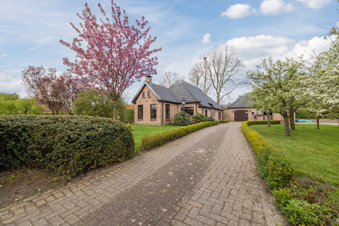Photo 7 of Dokter Ypeijlaan 12