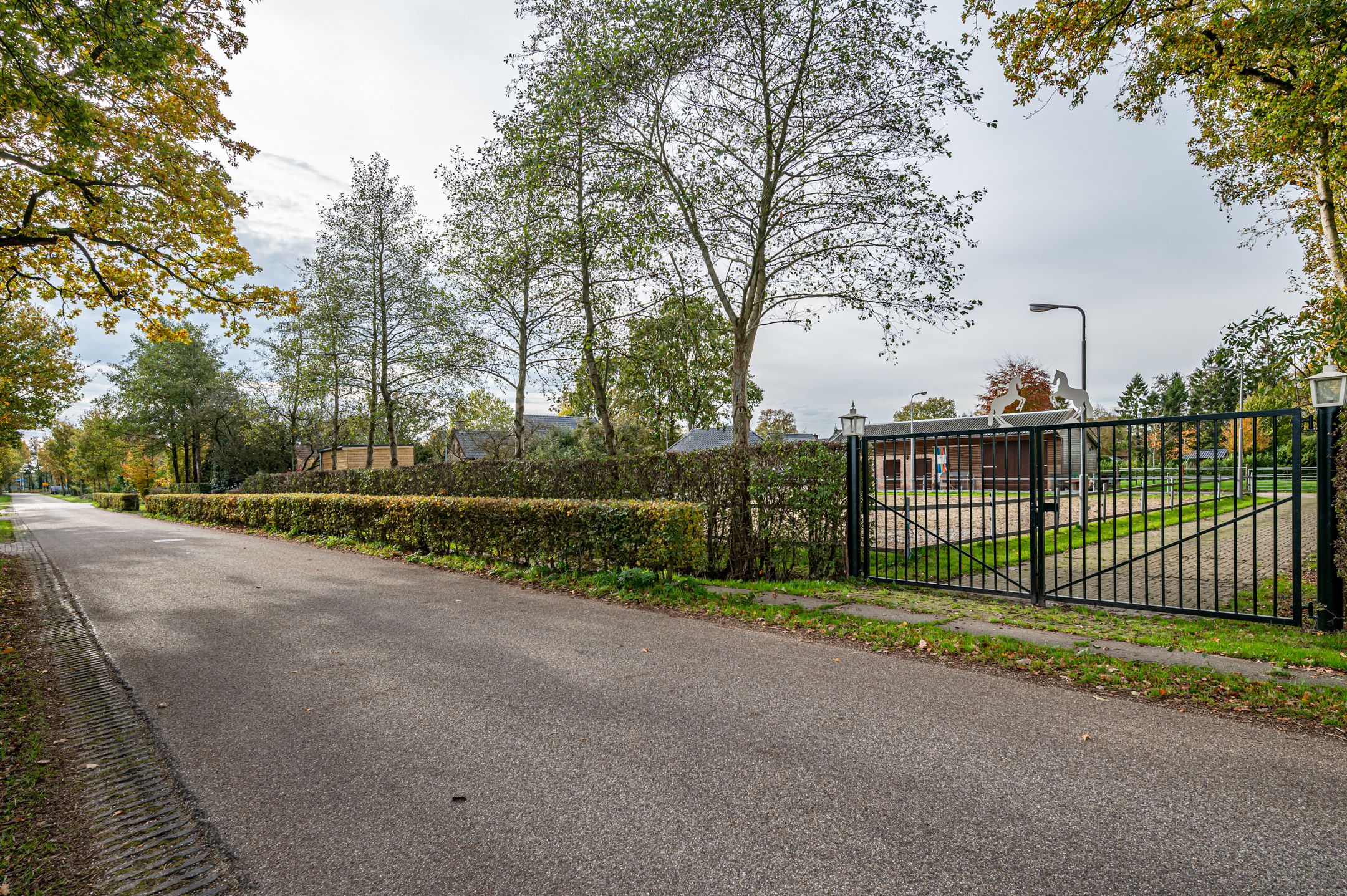 Photo 9 of Dokter Ypeijlaan 12