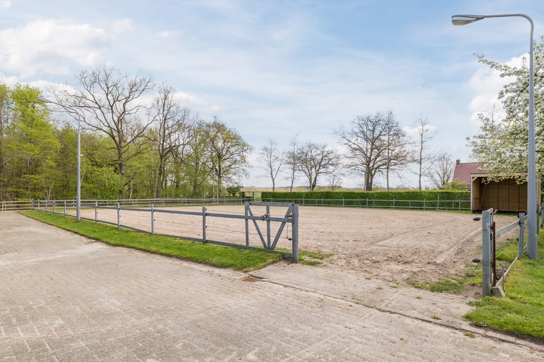 Photo 38 of Dokter Ypeijlaan 12