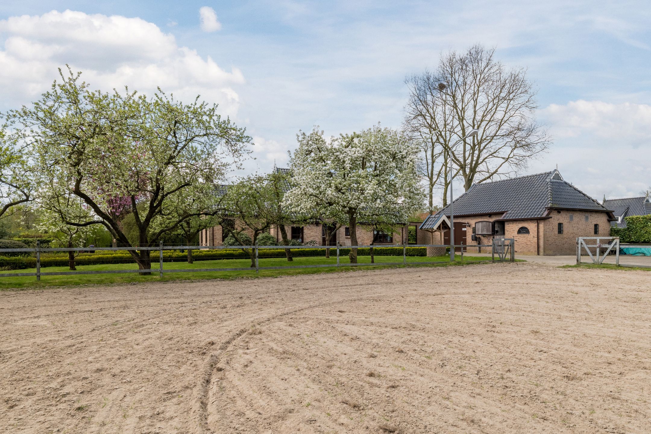 Photo 39 of Dokter Ypeijlaan 12