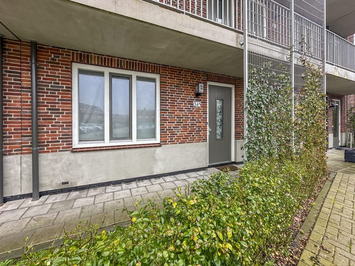 Foto 4 van Ebbenhout 36-B