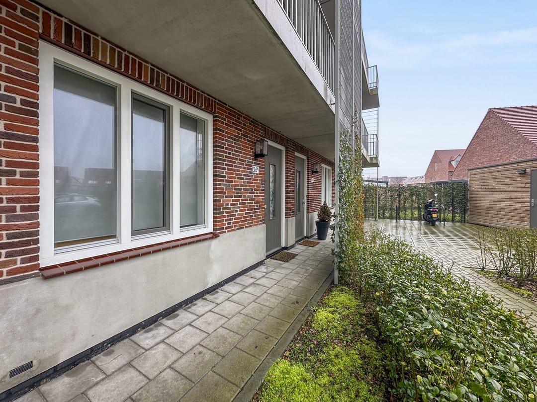 Foto 13 van Ebbenhout 36-B