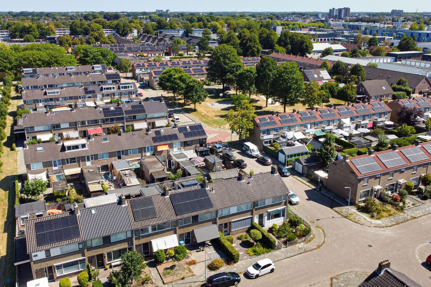 Foto 4 van De Geeuw 12