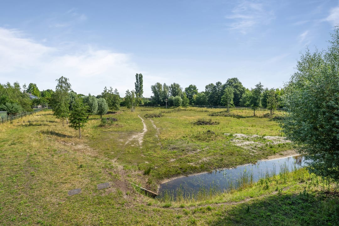 Photo 31 of Bornhemweg 116