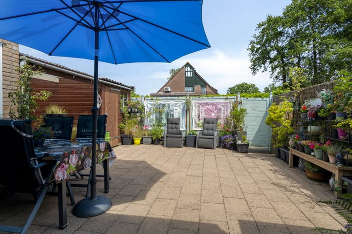 Foto 4 van Pinksterbloem 96