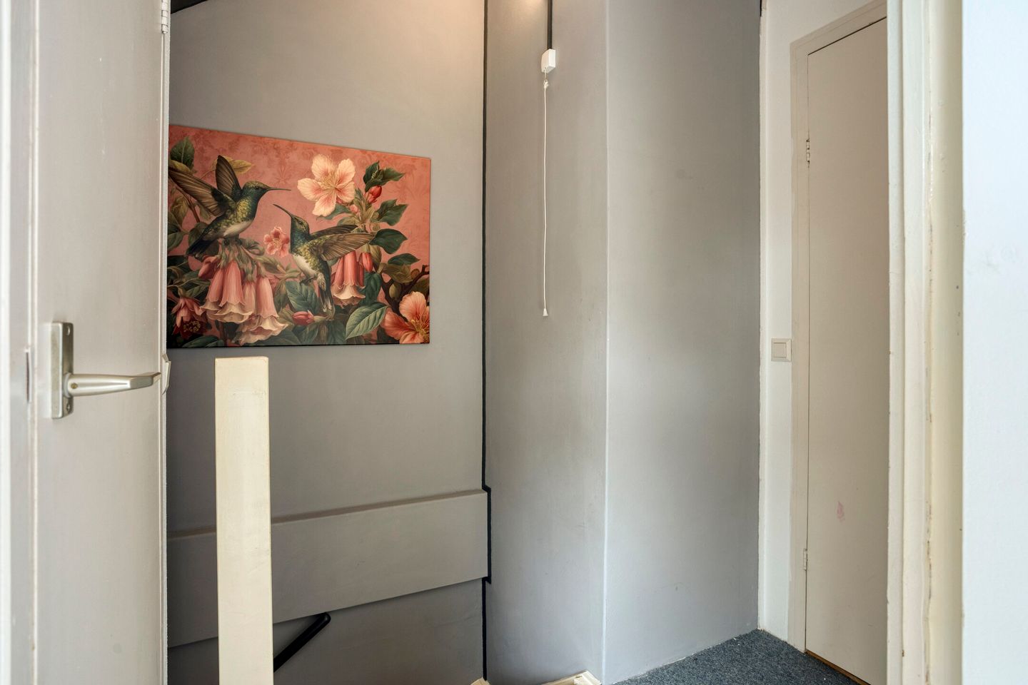 Foto 49 van Pinksterbloem 96