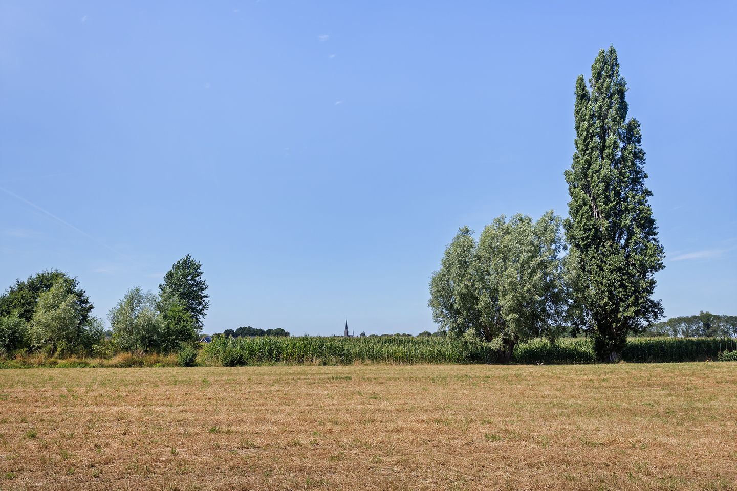 Photo 49 of Molenweg 8