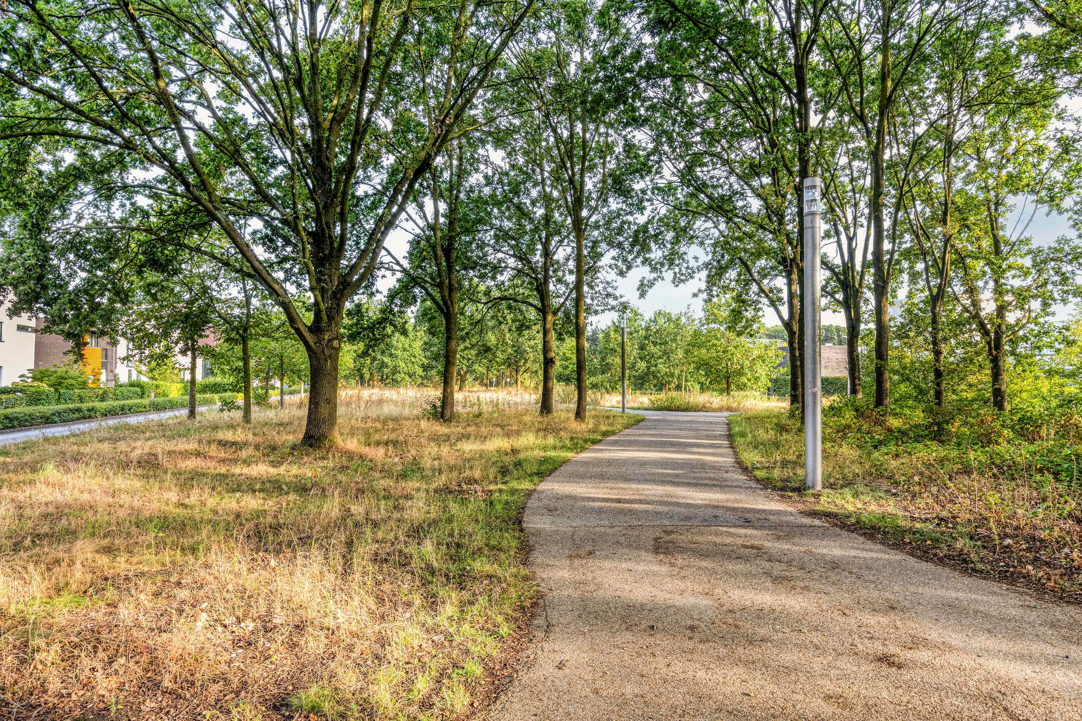 Photo 33 of Waterwijk 35