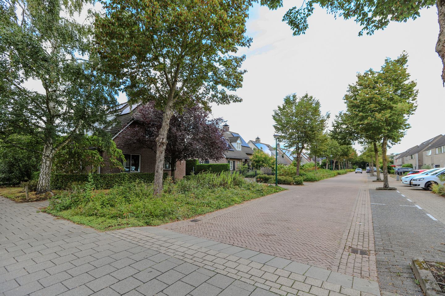 Foto 40 van Kattedoorn 66