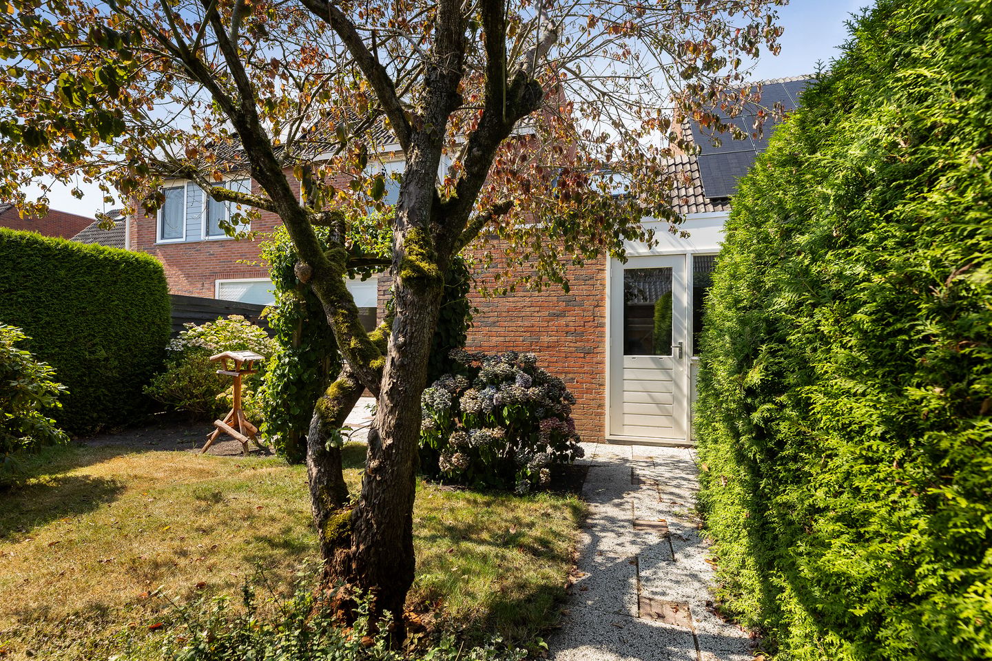 Photo 35 of de Reest 7