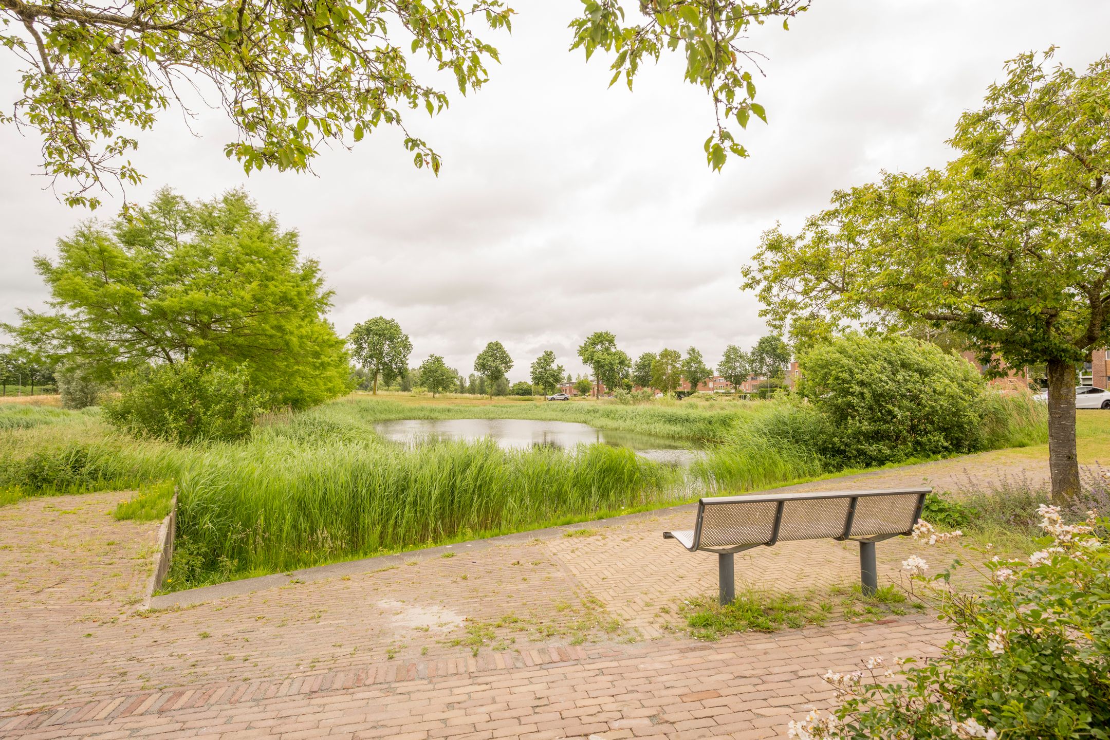 Foto 45 van Gentiaan 2