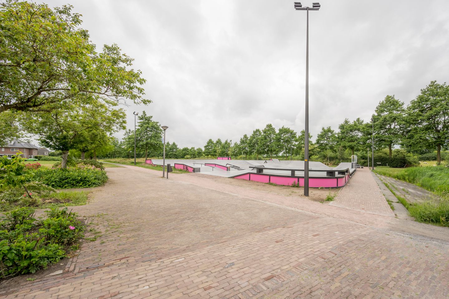 Foto 40 van Gentiaan 2