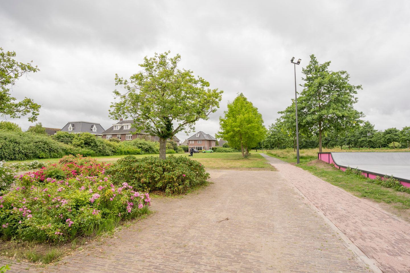 Foto 44 van Gentiaan 2