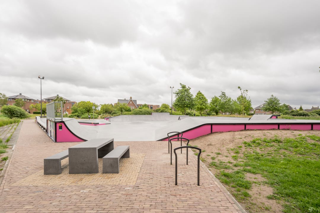 Foto 43 van Gentiaan 2
