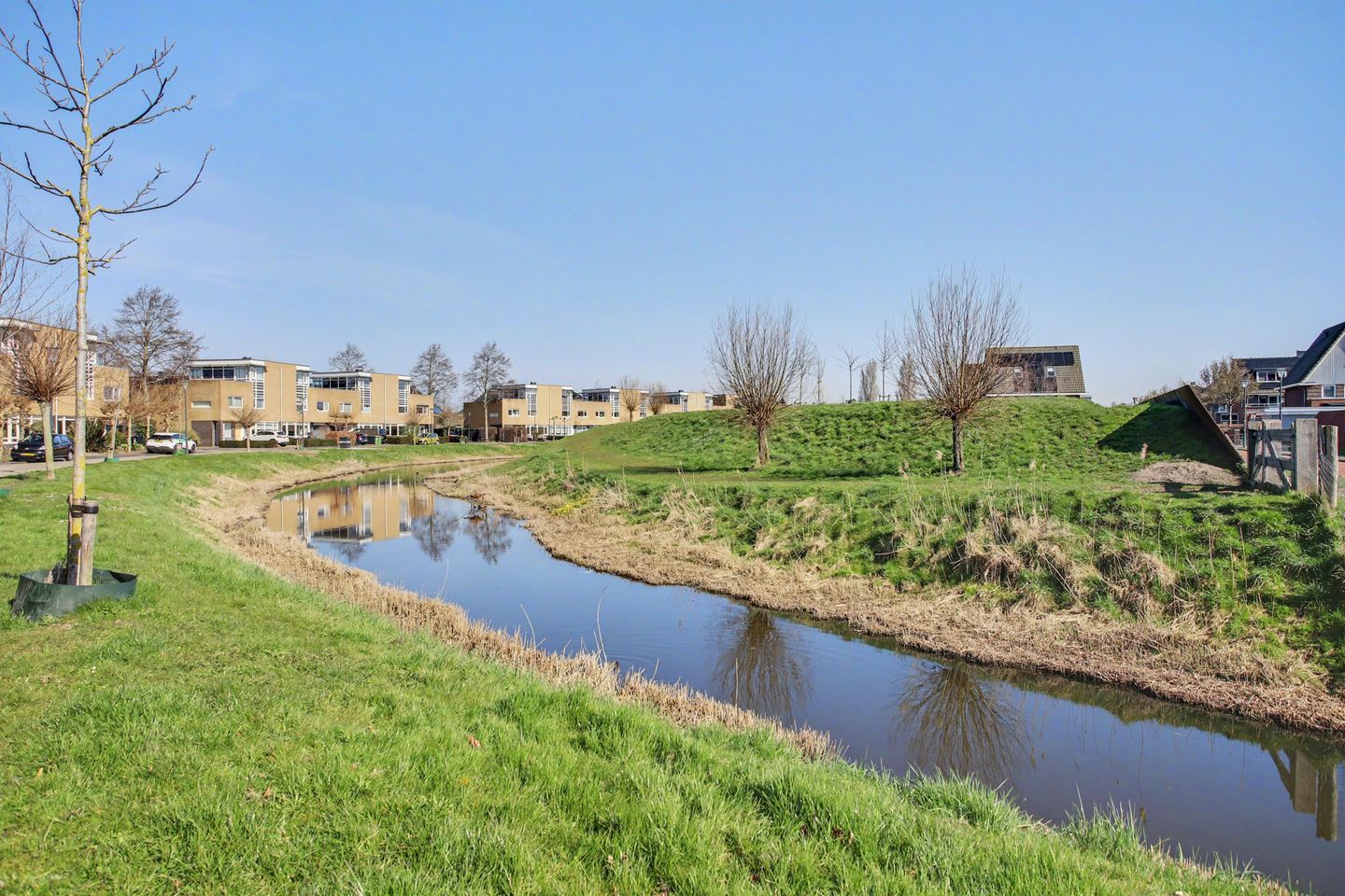 Foto 44 van het Zwin 14