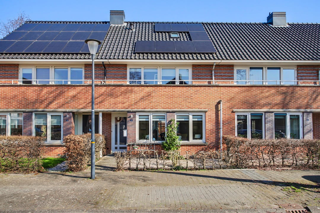 Foto 38 van het Zwin 14