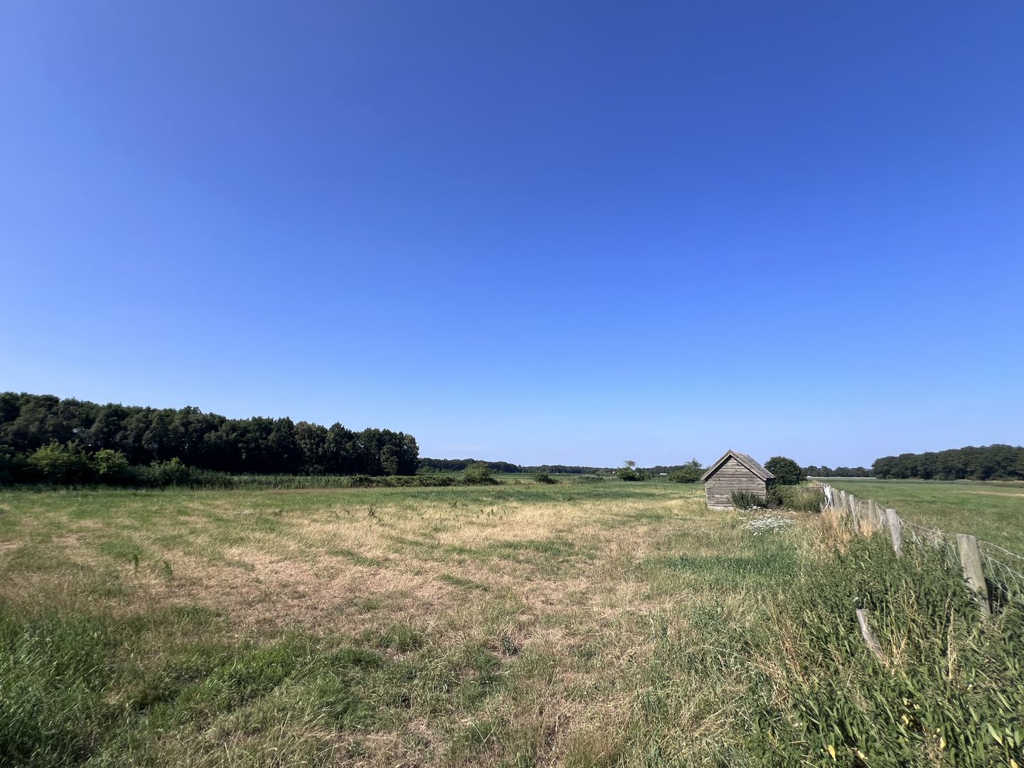 Bekijk foto 4 van Spurkt