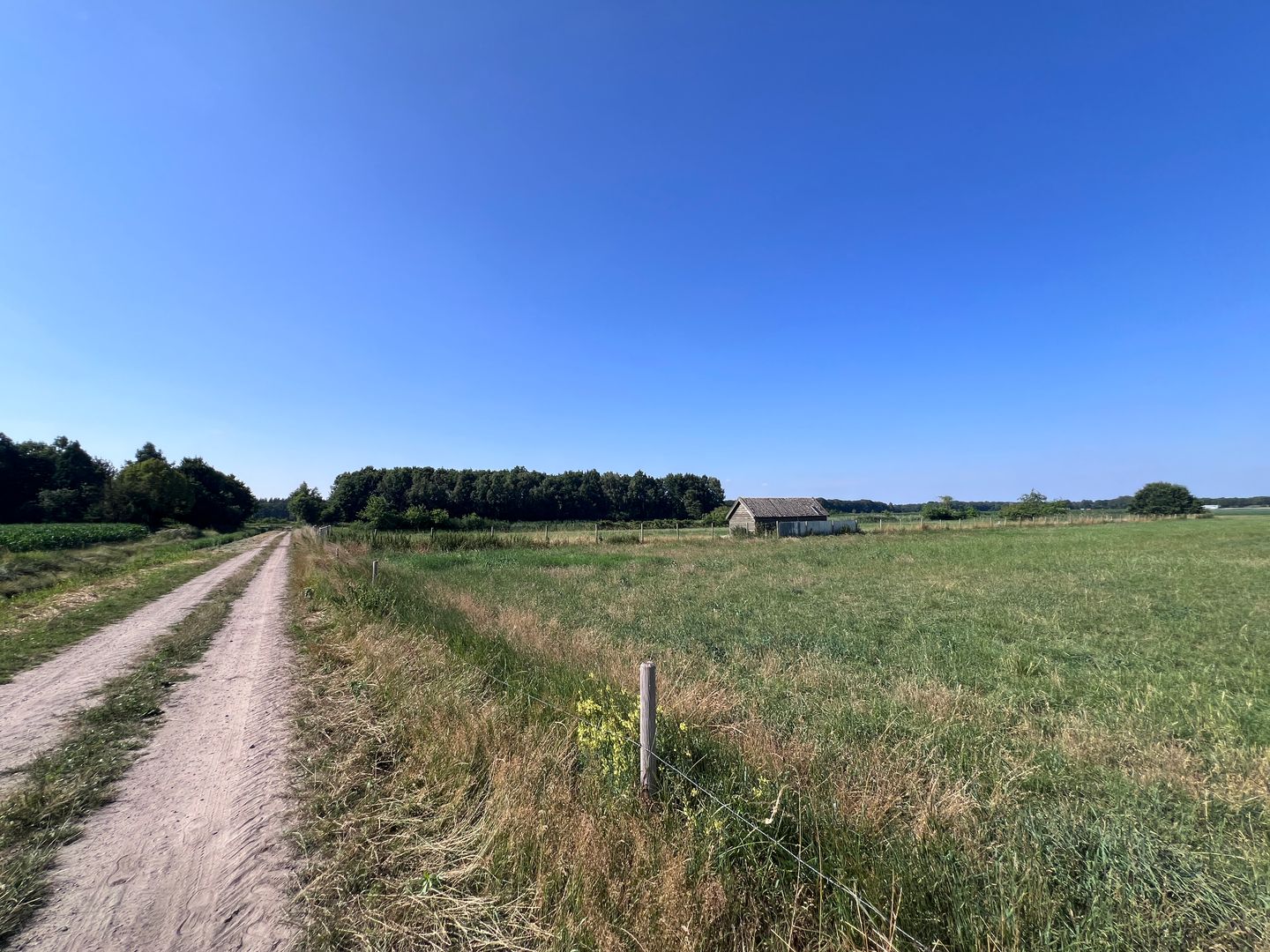 Bekijk foto 5 van Spurkt