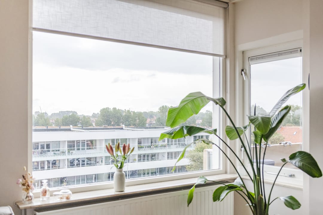 Foto 17 van Rijnmond 186