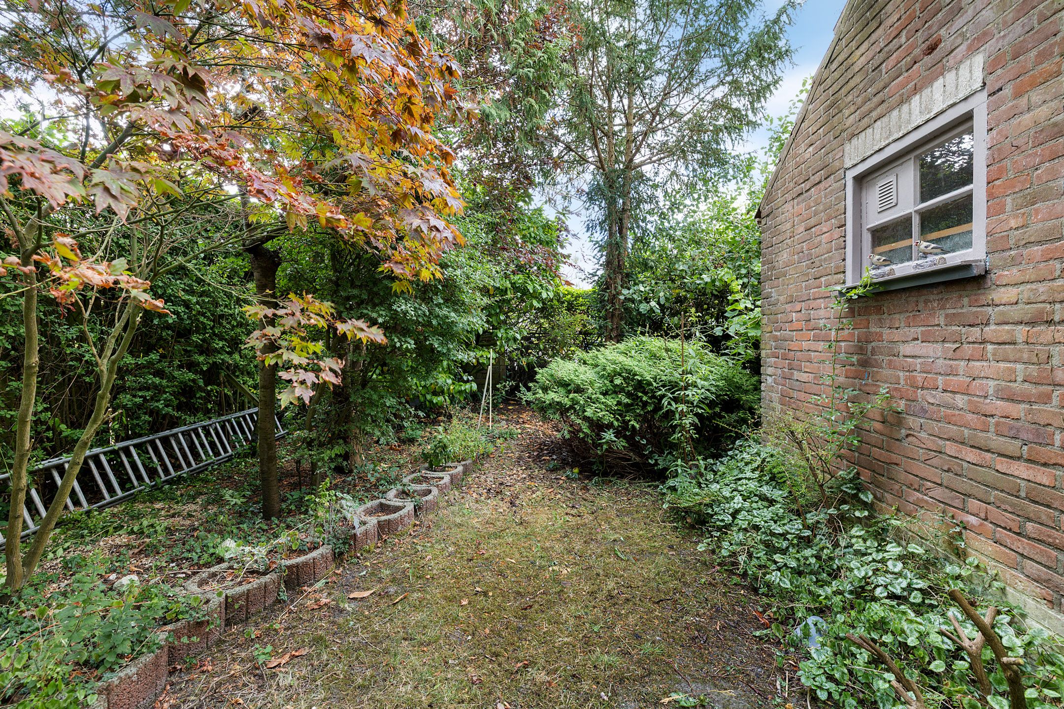 Photo 36 of Verdistraat 3